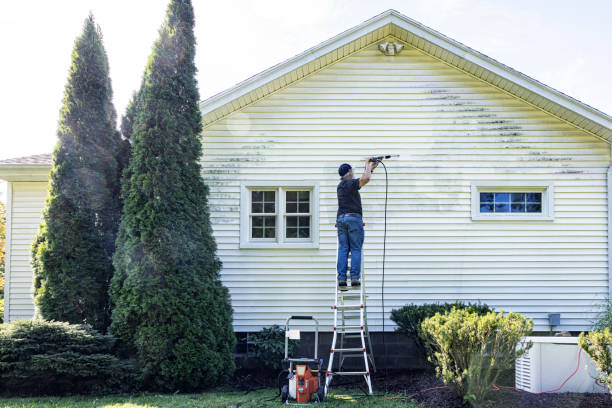 Best Pressure Washing Siding  in Preston, IA