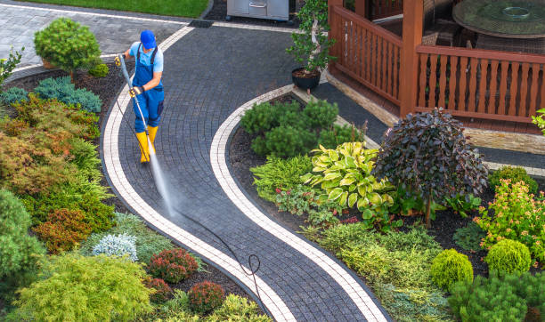 Best Pressure Washing Company Near Me  in Preston, IA